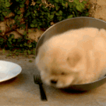 그릇<b>닦</b>이 알<b>바</b>하는데요....