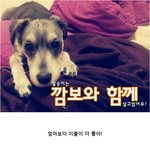 이불사랑 <b>멍뭉이</b>