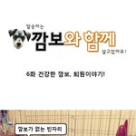 <b>자궁</b>축농증 수술 후기