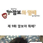 슈나우저의 <b>지랄</b> 기본기란 이정도...