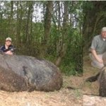 심심해서 써보는 2, <초대형 <b>생물</b>들>