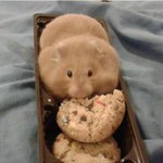 길지만빵터지는미친사진6ㅋㅋㅋㅋㅋㅋㅋㅋㅋㅋㅋㅋㅋㅋㅋㅋㅋ