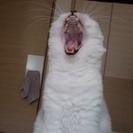 안녕하세요. 최<b>도봉</b>입니다 22222