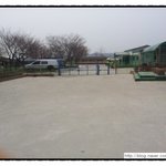 동구협에 다녀왔어요..(비글...프린스 <b>임보</b>/입양처찾아요)