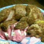 치킨은 개로 <b>만듬</b> .jpg