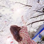 <b>이옷</b>어떤가요?