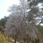<b>포샵</b> 지존 흉 누나들..