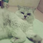 안녕하세요. 최<b>도봉</b>입니다 3333333