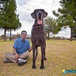 전 <b>큰개</b>가 좋아요 ...