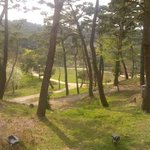 <b>포샵</b> 지존 횽누나들 하나만더부탁해용..ㅠ