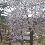 포샵지존 <b>형</b> 누나들 사진<b>한</b>개만 더 부탁염