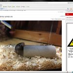 베스트1위먹은 햄스터 <b>휴지</b>심글은 일베똥이다.