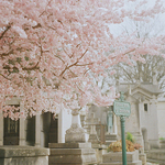 나른나른한 오후에 들을만한 노래추천