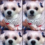 울<b>아가</b>들 사랑스럽죠