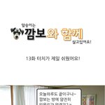 tv 껐다 키는 강아지