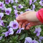 봄나들이 여행 필수아이템 BEST 5!