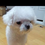 제발찾아주세요ㅜ