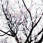 알레르기성 비염 예방은 역시 첫 번째로 <b>청결</b>함이라고 하네요!~
