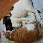 <b>비대</b>한 가족ㅋㅋㅋㅋㅋ