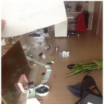 (혈압주의)  개 <b>망나니</b> 자슥