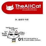 <b>솔로인</b> 이유 / 솔로의 단계