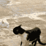 <b>라바</b>의 무서운 이야기46