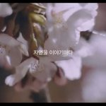 영화 ‘사랑의 가위바위보’ 사랑 넘치는 로맨틱 tv <b>cf</b>!!!!