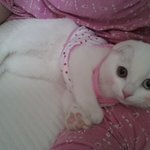 폴드)우리<b>집</b> 이쁜<b>이</b>~^^