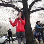 프로스펙스 김연아 스타일로 코디하고 다녀온 <b>화창</b>한 봄날 벚꽃축제~~!!