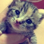 판에서 만난 <b>감자</b>이야기♪ <b>감자</b>가 자랐어요!