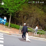 개를친<b>범인</b>을찾습니다