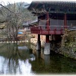 순천만의 가을 낭만 - 칠면초