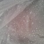 코베아 인천직영점 사기<b>AS</b> > 쓰레기 텐트 코베아 에버캠프 블랙...