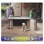<b>재탕</b> 웃긴사진 몇개 ㅋㅋ