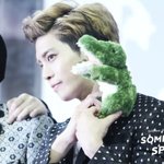 <b>종현</b>이..