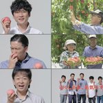 일본연예인은 마루타?.jpg