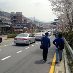 <b>진해</b> 군항제와 벚꽃풍경