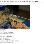 햄스터에게 <b>애완</b>동물 잡아먹힌 일베인;;;;