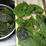 이마트산..썪은깻닢..!