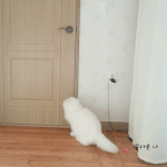 벌컥벌컥 <b>문여</b>는 꽃바니!