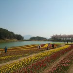 남해, 거제도 여행 루트 공유+_+(남해)