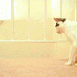 <b>라바</b>의 무서운 이야기48