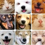 오포인트로 <b>드롭</b>탑 할인받아보세욥 !!!!