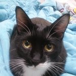 다신없을 나의 행복 <b>우디</b>야 사랑해