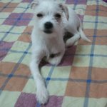 2번째 <b>호야</b>!