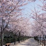 솔로들이 들어야 할 설레는 노래들^@^