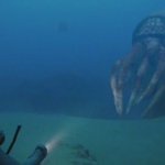 4- 바다에서 위험한 <b>동물</b>들