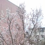 여자<b>주위</b>에 남자많으면