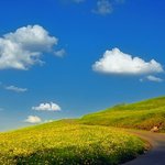향기로운 <b>속삭임</b>