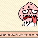 내가 예언하나해보지